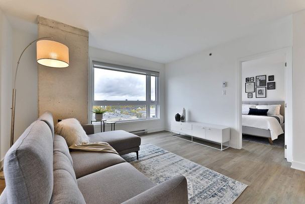 EQ8 1 month free on our 3 bedrooms - Photo 1