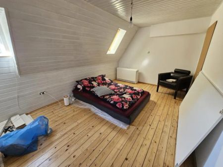 Die perfekte Wohnung für Studenten - neu renovierte 2,5-Zimmer-Wohnung - Photo 2