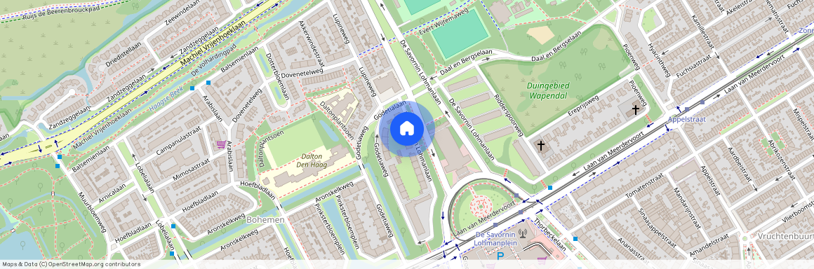 De Savornin Lohmanlaan 146, 2566AT, 'S-Gravenhage