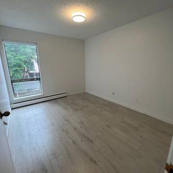 1BED 1BATH PET FRIENDLY SUITE - Photo 4