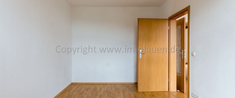 wohnen im Syratal - Balkon + Bad BW u. DU - ruhige Wohnlage - 2 Zimmerwohnung zur Miete in Plauen - Photo 1