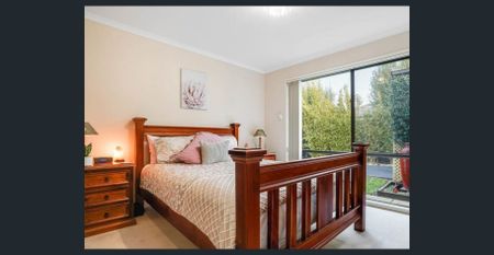 The Perfect Loaction - Photo 5