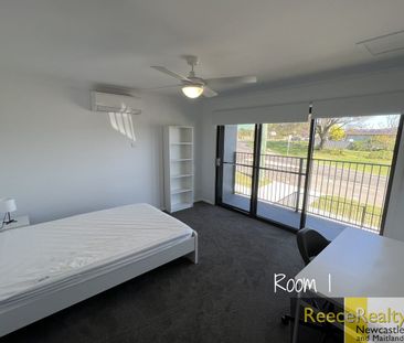 2b King Street, Shortland, NSW 2307 - Photo 2