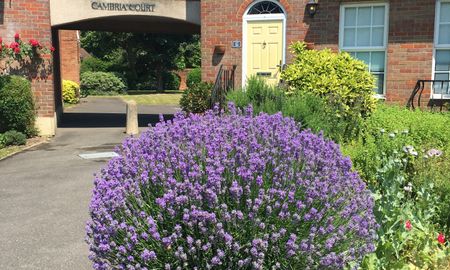 Cambria Court Room B - Photo 5