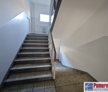 Kijewo, ul. Tarpanowa - Zdjęcie 2