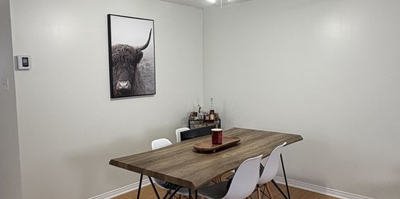 4 1/2 Gatineau - Grand Demi Sous-sol - Photo 3