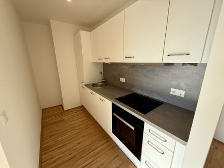 1 Monat Mietzinsfrei: Erstbezug im Grünen Nahe der U2 - zwischen Badeteich Hirschstetten & Seestadt - Photo 3