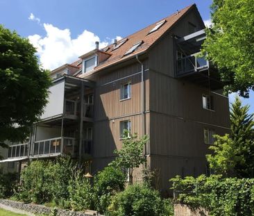 2.5 Zimmer, 52 m², 1. Stock - Foto 5