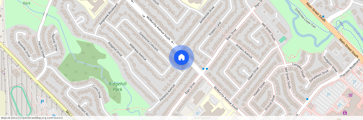 219 Mcmurchy Avenue Unit# Main, Brampton