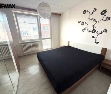 K pronájmu 2+1 v Třebíči, ul.Na Svahu - Fotografie 4