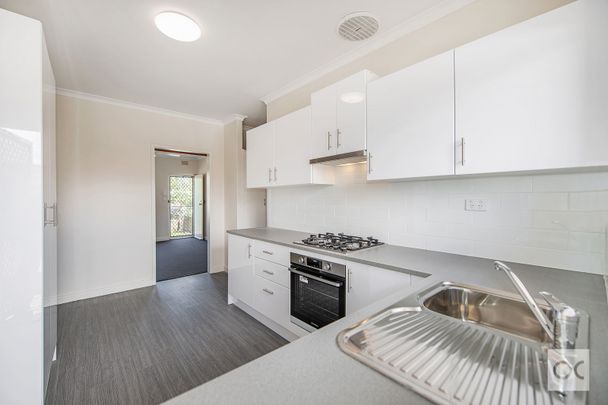 Unit 6/149 Lipsett Terrace - Photo 1