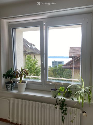 1 Zimmer, 29 m² - Foto 4