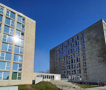 Alle Kosten inklusive! Moderne Mikroapartments für Studenten - Roll... - Foto 4