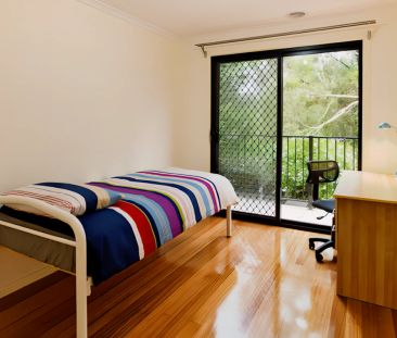 PLH2 Medium - Photo 1