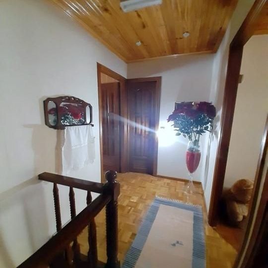 Μονοκατοικία για ενοικίαση Χαλκούτσι (Ωρωπός) - Photo 1