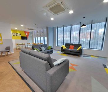 Extra Large High Double Studio - Photo 6