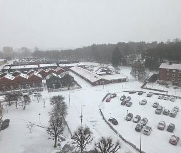 Fiolgatan, Västra Frölunda - Foto 2