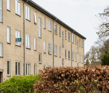 Lys og velindrettet 2V’er tæt på Damhussøen - Photo 4
