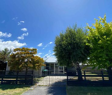 Beautiful haven on Boyne Place - Photo 5