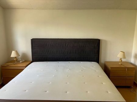 Villa de 6 pièces à louer au Grand-Saconnex - Foto 2