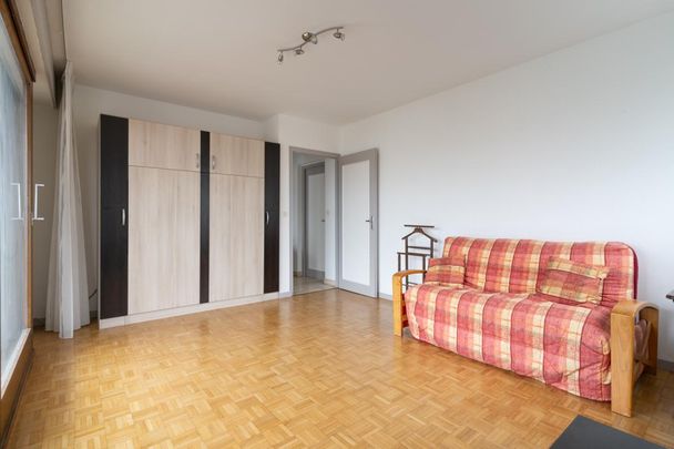 Location Appartement 1 pièce Meublé 35m² ANNECY 74000 - Photo 1