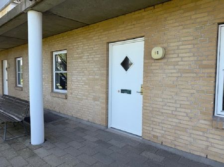 Dejlig 2-værelses lejlighed med nyt køkken og bad - Photo 5