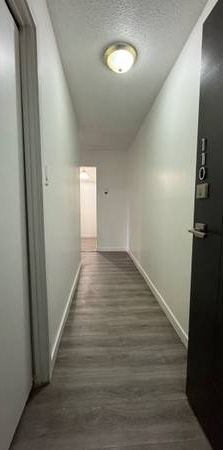 2 Beds 1 Bath - Apartment - Photo 1