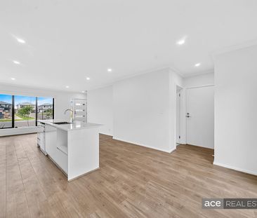 Modern Family Living in the Alamanda Zone! - Photo 1