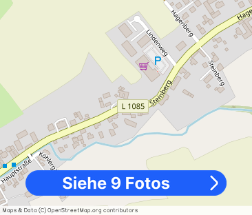 Große 2-Zimmer-Wohnung mit tollen Holztüren, Tageslichtbad und Abst... - Foto 1