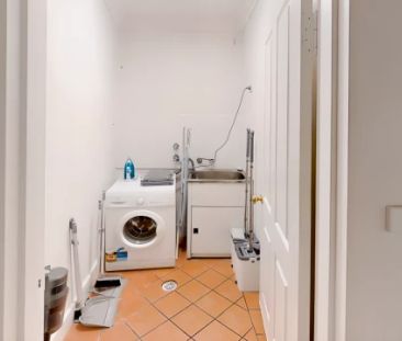 102 Abercrombie St, Sydney - Photo 5