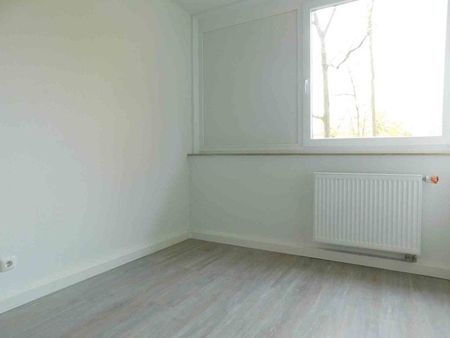 Attraktiv ! Gemütliche Singlewohnung sucht netten Mieter - Foto 3