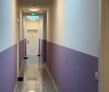 Klein aber fein: Charmante, lichtdurchflutete Dachgeschoßwohnung in... - Photo 6