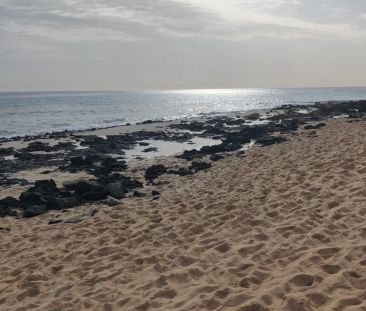 1-bedroom apartment for rent in La Oliva - Photo 5