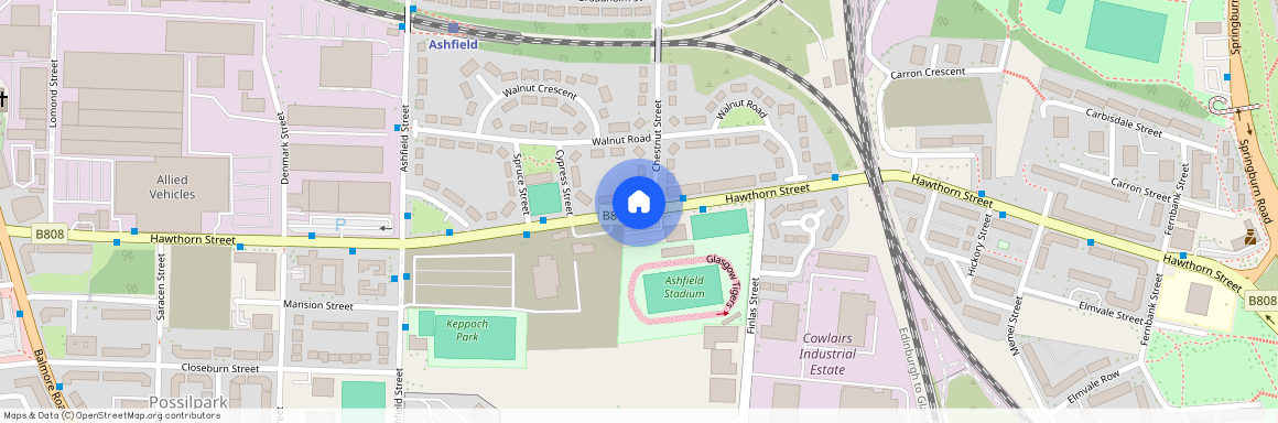 Hawthorn Street, Glasgow, G22