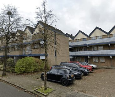 Antilopespoor, 348 - Photo 1