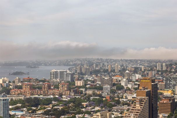 5205/117 Bathurst Street, Sydney NSW 2000 - Apartment For Rent | Domain - Photo 1