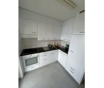 3 Zimmer, 73 m², 2. Stock - Foto 4