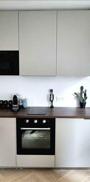 1 pièce - Meublé - 24 m² - RDC - Colocation non autorisée - Photo 1