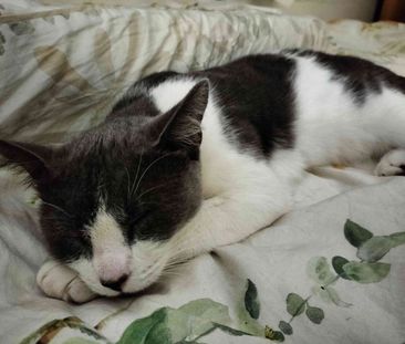 Highgate Hill - Photo 1