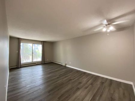 Windfall Court Apartments - Photo 2