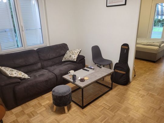 3-ROOM APARTMENT IN CRISSIER (VD), FURNISHED, TERM BASED - Photo 1