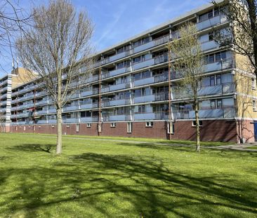 Koekoekstraat, 2352CW, Leiderdorp - Photo 6