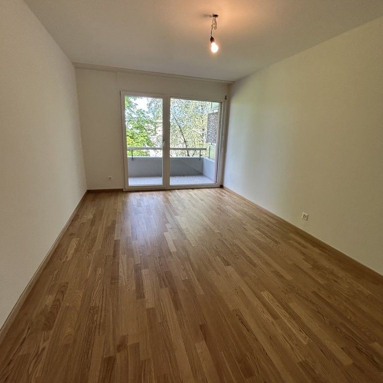 Singlewohnung nähe Stadtzentrum - frisch saniert - Photo 1