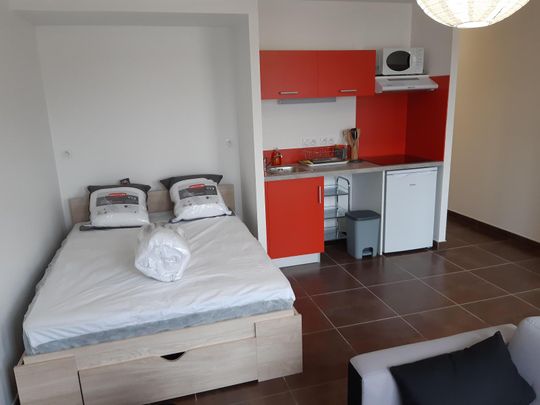 Location Appartement 1 pièce 27m² ALBI 81000 - Photo 1