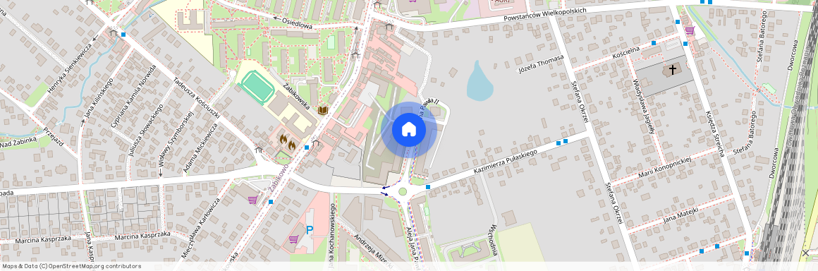 al. Aleja Jana Pawła II, Luboń, poznański, wielkopolskie