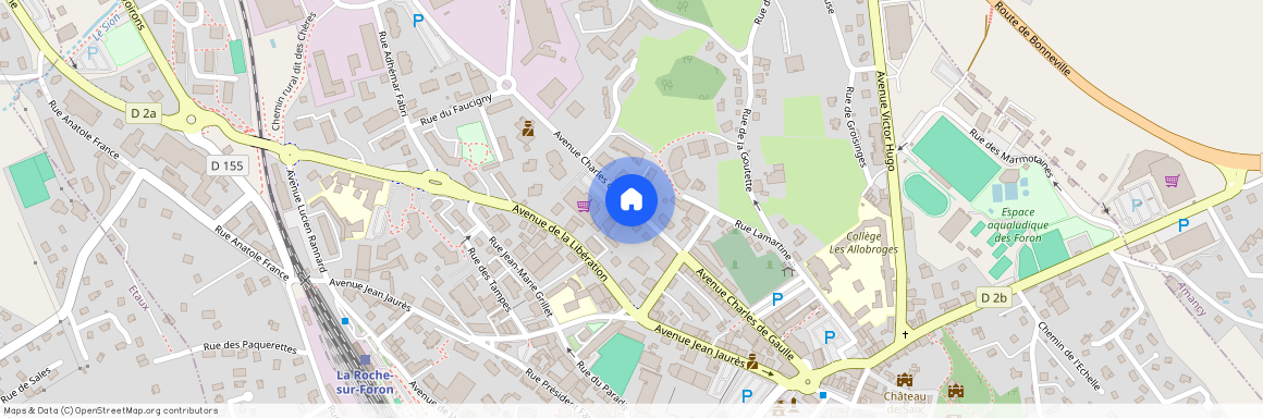 74800, La Roche-Sur-Foron