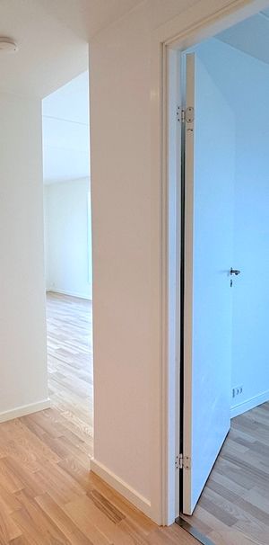 Nyere lys lejlighed i populært område - Photo 1