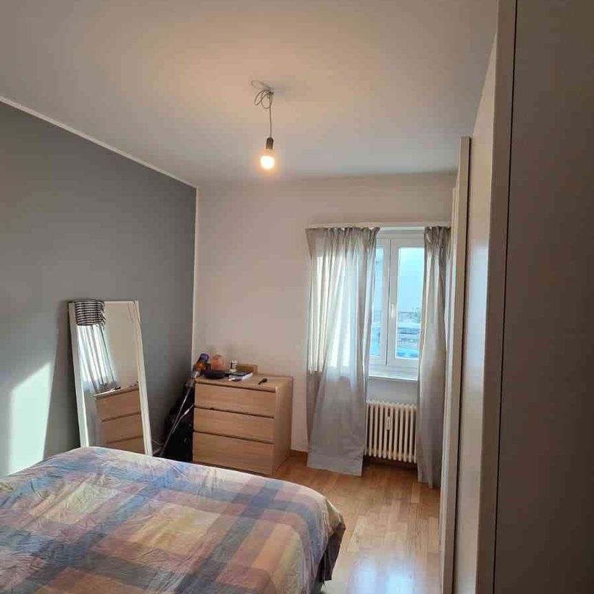 2 Zimmer, 50 m², EG - Foto 1