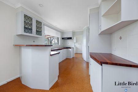 58 Rapanea Street, Rivett ACT 2611 - House For Rent | Domain - Photo 5