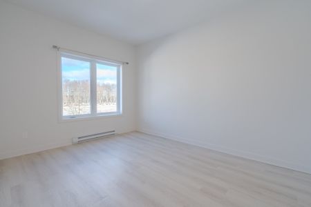 Rue Bonneville, J0S 1H0, Huntingdon - Photo 4